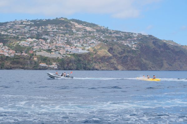 Banana Boat Ride in Madeira Island - Image 2