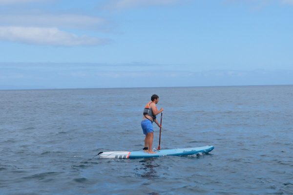 Standup Paddle Madeira Island - Image 5